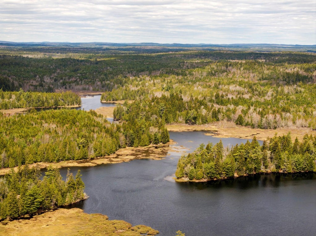 Photo of Map 12 Lot #7-A, Whiting, ME 04691 (MLS # 1669284)