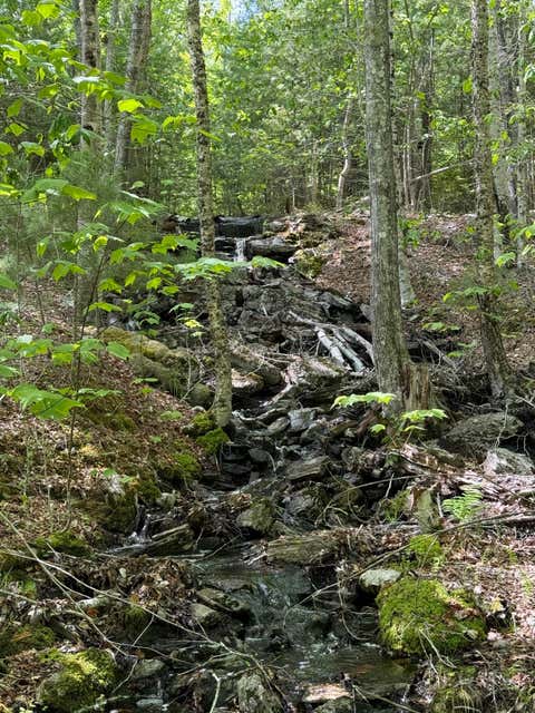 Photo of 63 Sebasco Road, Phippsburg, ME 04562 (MLS # 1677777)