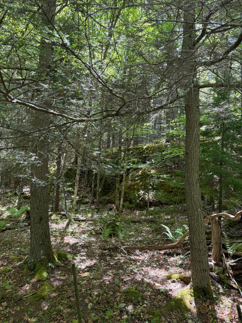 Photo of 63 Sebasco Road, Phippsburg, ME 04562 (MLS # 1677777)