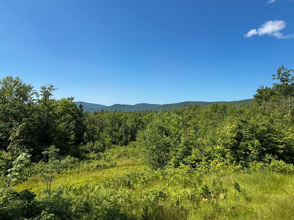 Photo of Lot 39B Sawyer Notch Road, Andover, ME 04216 (MLS # 1669327)