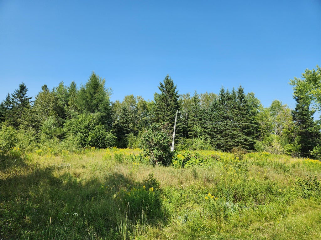 Photo of 290 Burleigh Road, Westfield, ME 04787 (MLS # 1682494)