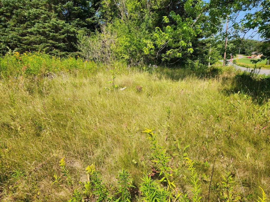 Photo of 290 Burleigh Road, Westfield, ME 04787 (MLS # 1682494)