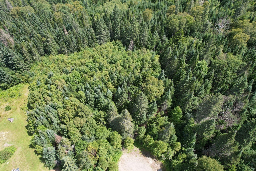 Photo of Lot 59 Left Branch, Rangeley Plt, ME 04970 (MLS # 1674613)