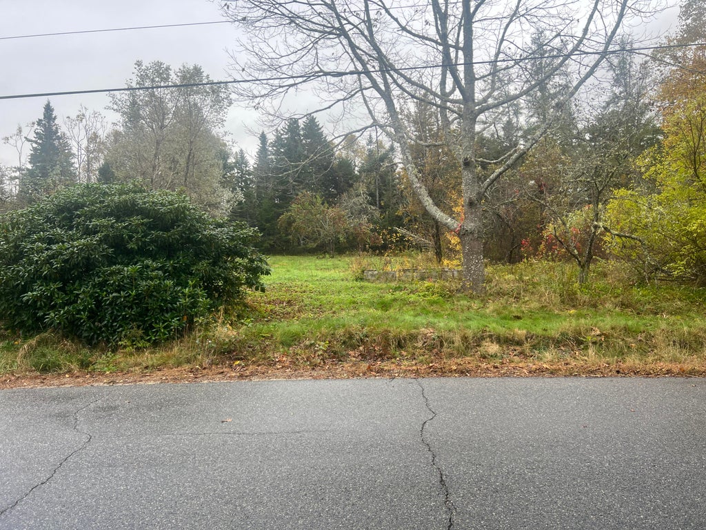 Photo of 113 Looks Point Road, Jonesboro, ME 04648 (MLS # 1667382)