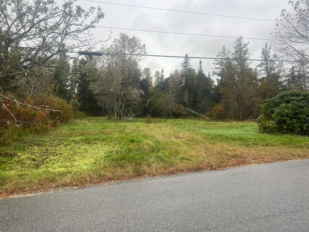 Photo of 113 Looks Point Road, Jonesboro, ME 04648 (MLS # 1667382)