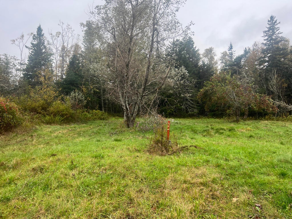 Photo of 113 Looks Point Road, Jonesboro, ME 04648 (MLS # 1667382)
