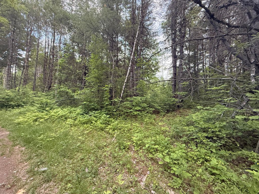 Photo of 003-001-A Project Road, Enfield, ME 04493 (MLS # 1667060)