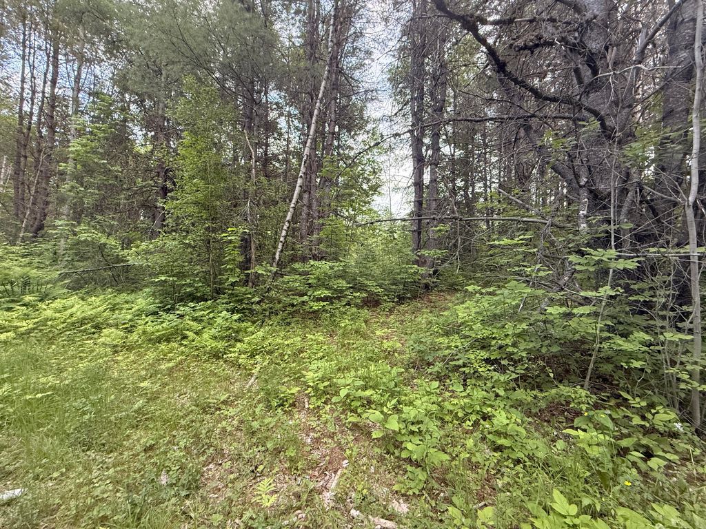 Photo of 003-001-A Project Road, Enfield, ME 04493 (MLS # 1667060)