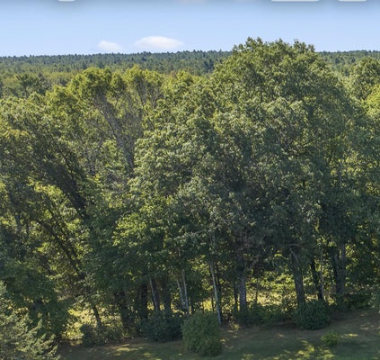 296 N BERWICK RD, WELLS, ME 04090 - Image fbd394fccbf6f689a1a4f57cb44e551b/4032653706