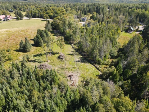 Photo of 286 Dallas Hill Road, Dallas Plt, ME 04970 (MLS # 1681418)