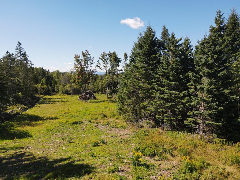 Photo of 286 Dallas Hill Road, Dallas Plt, ME 04970 (MLS # 1681418)