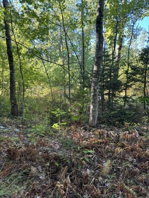 Photo of Map2 Lot30 Weeman Road, Detroit, ME 04929 (MLS # 1679722)