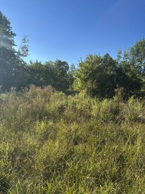 Photo of Map2 Lot30 Weeman Road, Detroit, ME 04929 (MLS # 1679722)