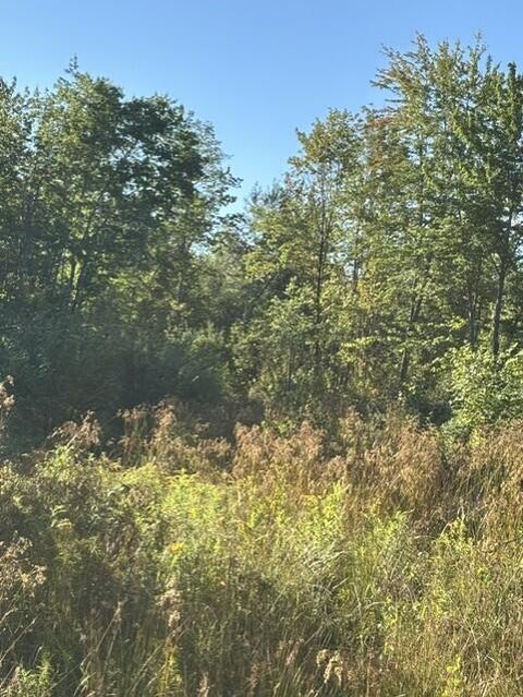 Photo of Map2 Lot30 Weeman Road, Detroit, ME 04929 (MLS # 1679722)