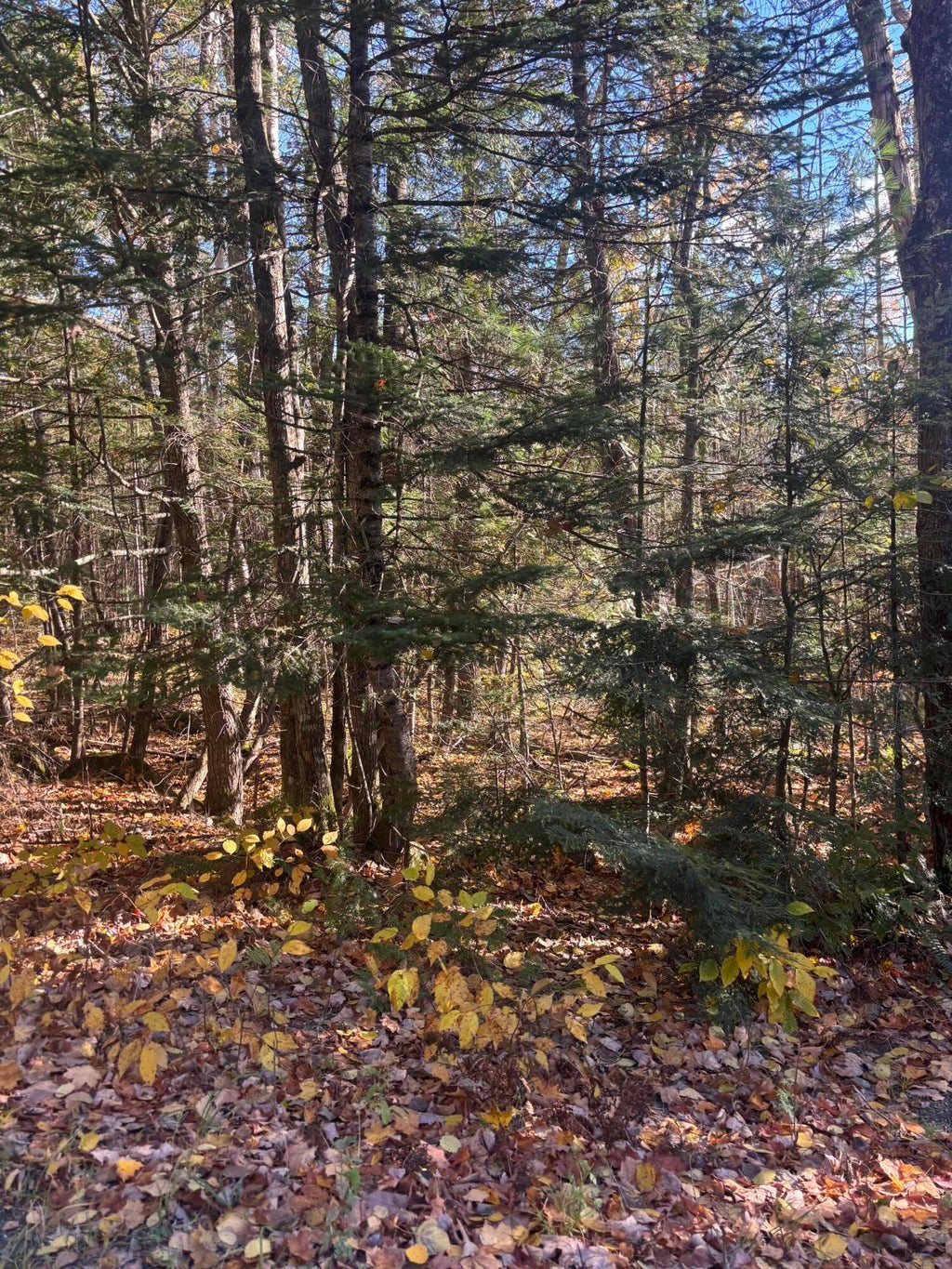 Photo of 74-1 Wharff Road #Lot 74-1, Guilford, ME 04443 (MLS # 1684820)