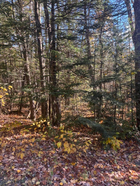 Photo of 74-1 Wharff Road #Lot 74-1, Guilford, ME 04443 (MLS # 1684820)