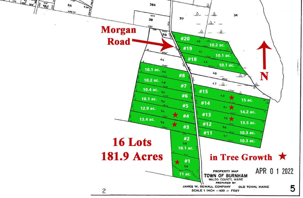 Photo of 00 Morgan Road, Burnham, ME 04922 (MLS # 1669876)