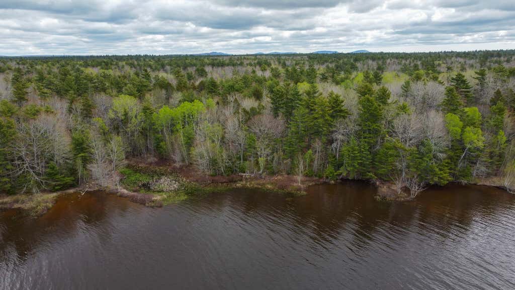 Photo of HA4PL3L17 Off Lily Way, Fletchers Landing Twp, ME 01072 (MLS # 1663573)