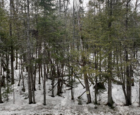 22 EXETER RD, GARLAND, ME 04939 - Image fdf2183016d1d2aebb32f1bd224edf9e/411054855