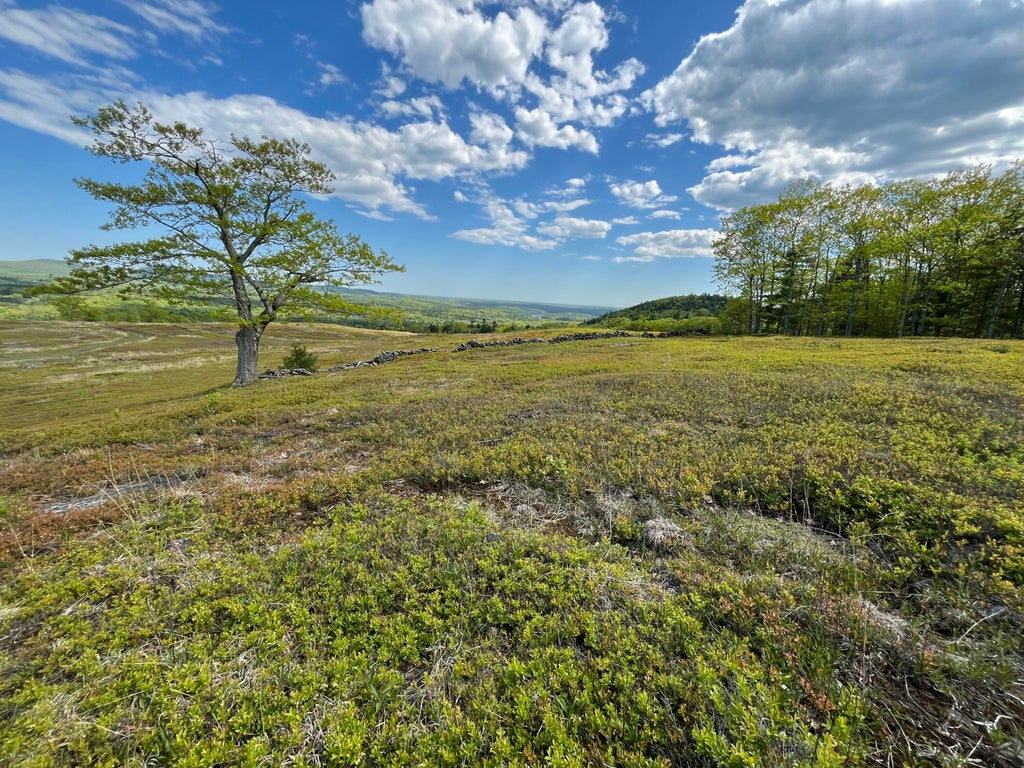 Photo of 0 Heart Oak Lane, Union, ME 04862 (MLS # 1657856)