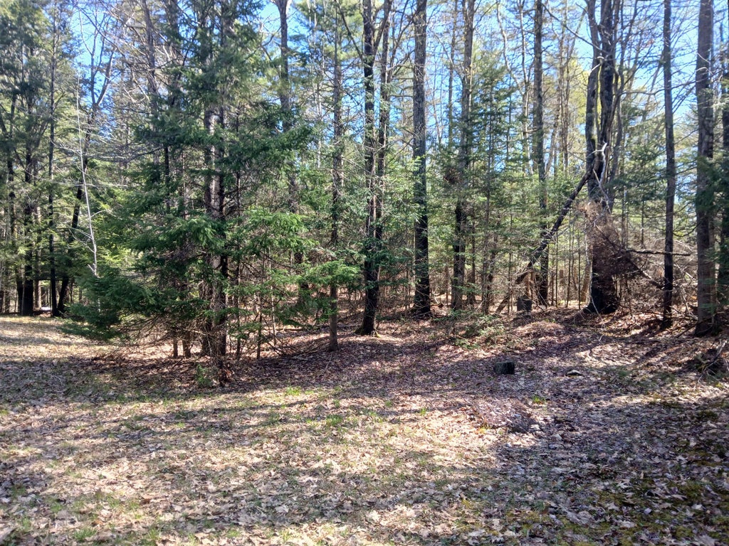 Photo of 371 Carding Machine Road, Bowdoinham, ME 04008 (MLS # 1661165)