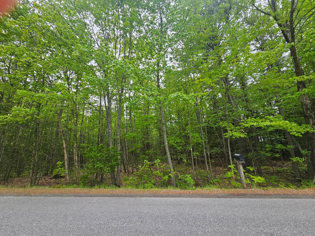 Photo of 0 Capen Road, Gardiner, ME 04345 (MLS # 1672756)