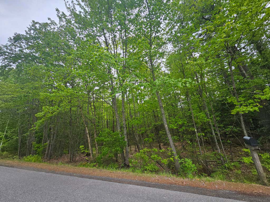Photo of 0 Capen Road, Gardiner, ME 04345 (MLS # 1672756)
