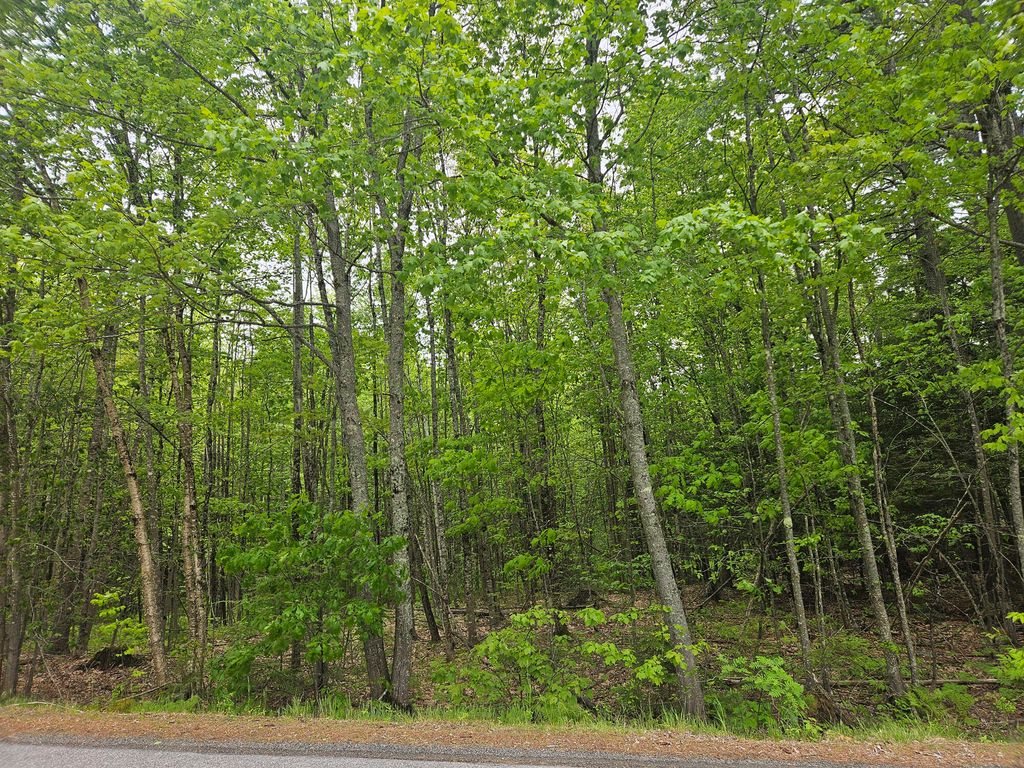Photo of 0 Capen Road, Gardiner, ME 04345 (MLS # 1672756)