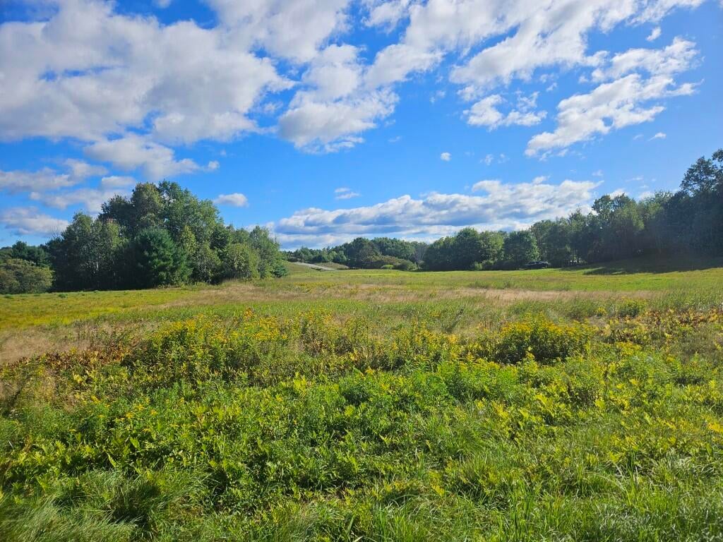 Photo of 265 Sopers Mill Road, Auburn, ME 04210 (MLS # 1681429)