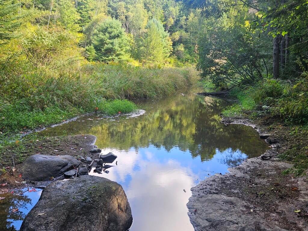 Photo of 265 Sopers Mill Road, Auburn, ME 04210 (MLS # 1681429)