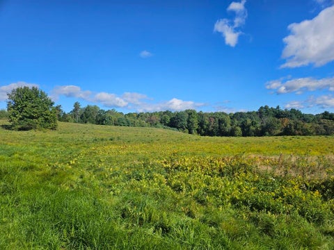Photo of 265 Sopers Mill Road, Auburn, ME 04210 (MLS # 1681429)