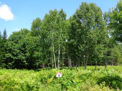 Photo of Lot 18 Bailey Mountain Road, Franklin, ME 04634 (MLS # 1661921)