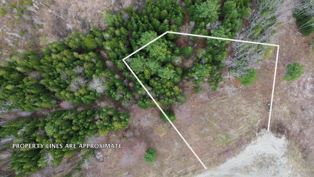 Photo of Lot 18 Bailey Mountain Drive, Franklin, ME 04634 (MLS # 1661921)