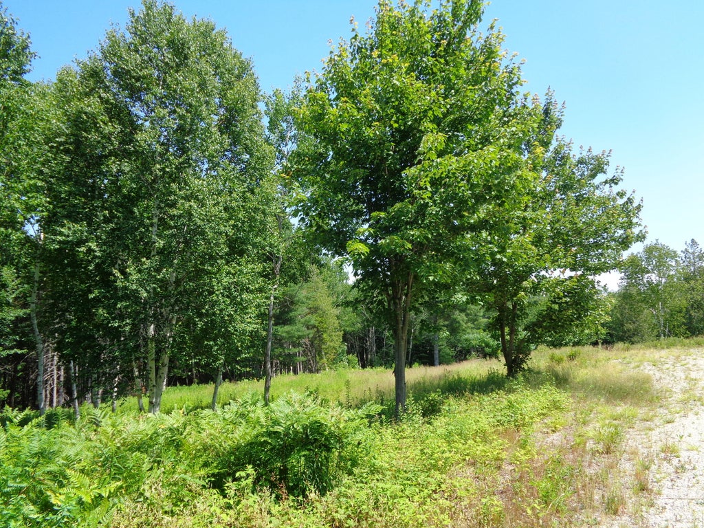Photo of Lot 18 Bailey Mountain Road, Franklin, ME 04634 (MLS # 1661921)