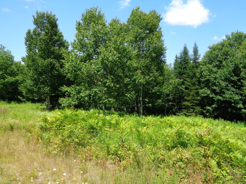 Photo of Lot 18 Bailey Mountain Road, Franklin, ME 04634 (MLS # 1661921)