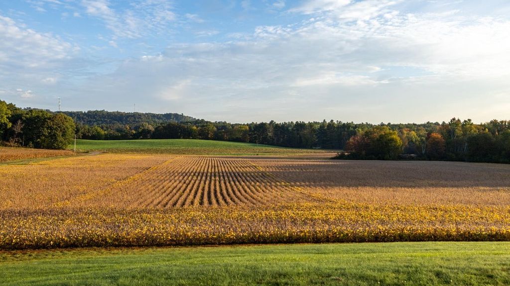 Photo of 0 Hannon Road, Black River Falls, WI 54615 (MLS # 1600027)