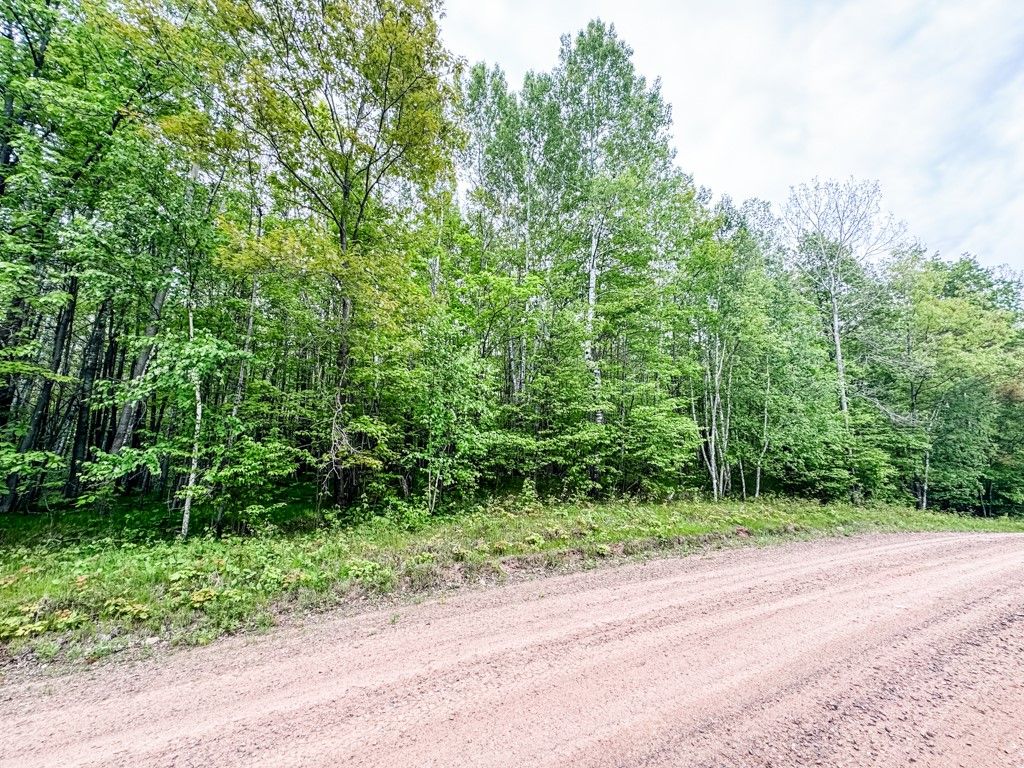 Photo of 0000 Kelly Road, Lake Nebagamon, WI 54849 (MLS # 1598645)