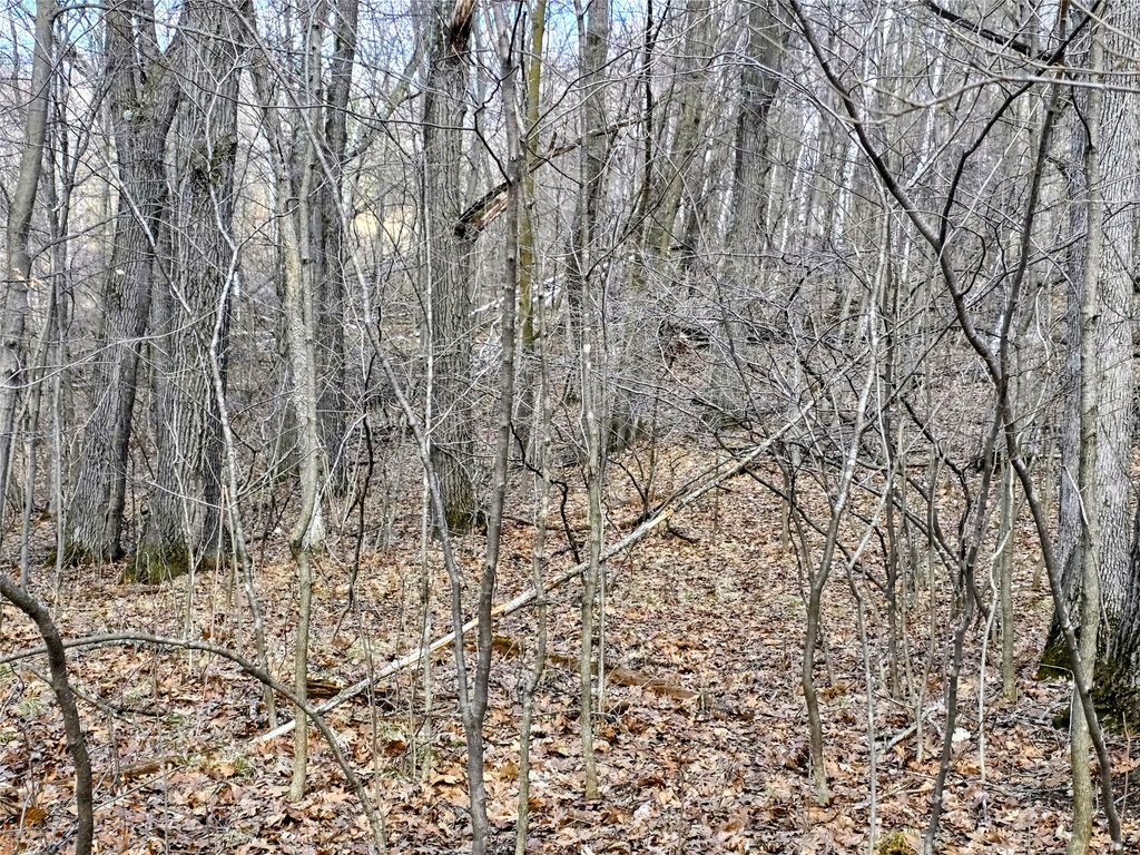 Photo of 00 Highway W, Weyerhaeuser, WI 54895 (MLS # 1599952)