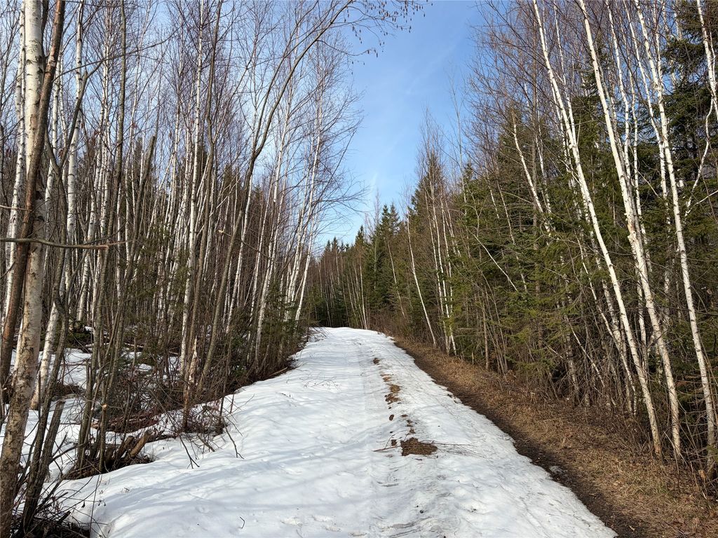 Photo of ON CTH GG, Winter, WI 54896 (MLS # 1599272)