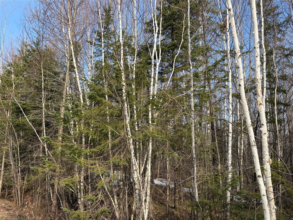 Photo of ON CTH GG, Winter, WI 54896 (MLS # 1599272)