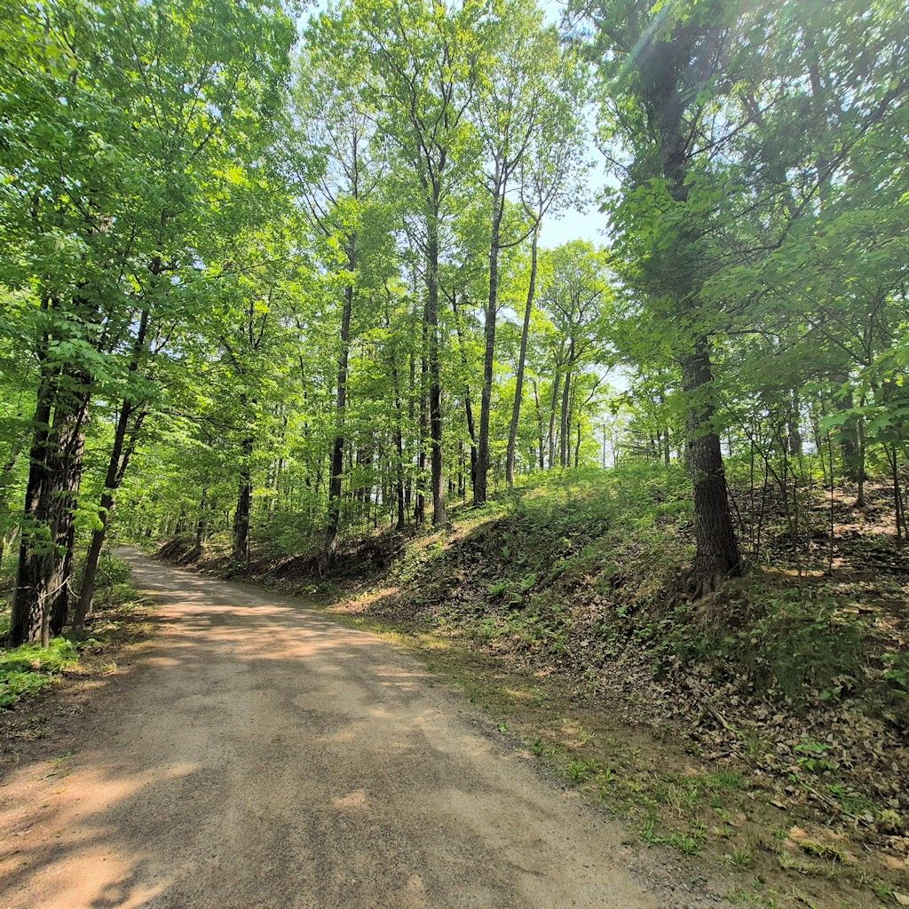 Photo of 14954 W Goss Road, Hayward, WI 54843 (MLS # 1599076)
