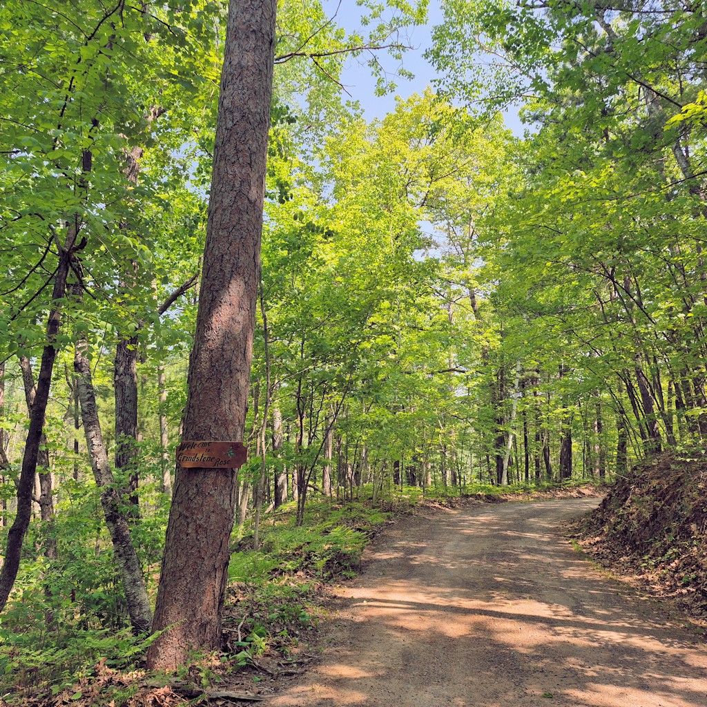 Photo of 14954 W Goss Road, Hayward, WI 54843 (MLS # 1599076)