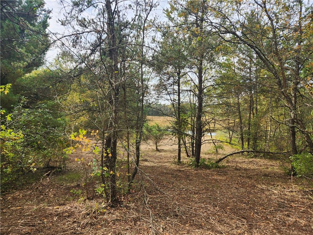 Photo of Lot 1 &amp; 2 of CSM 1548 N County Road F, Chetek, WI 54728 (MLS # 1596727)