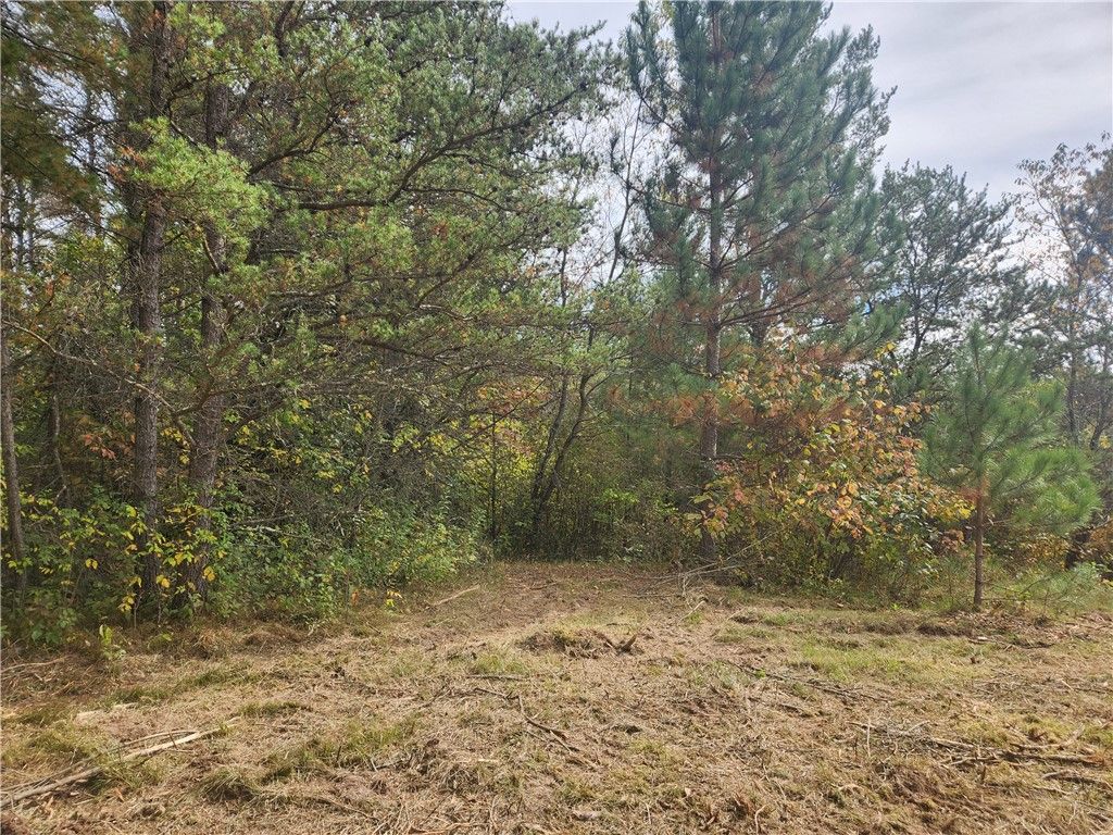 Photo of Lot 1 &amp; 2 of CSM 1548 N County Road F, Chetek, WI 54728 (MLS # 1596727)