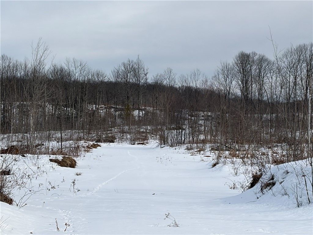 Photo of ON Forest Drive E, Ogema, WI 54459 (MLS # 1598876)