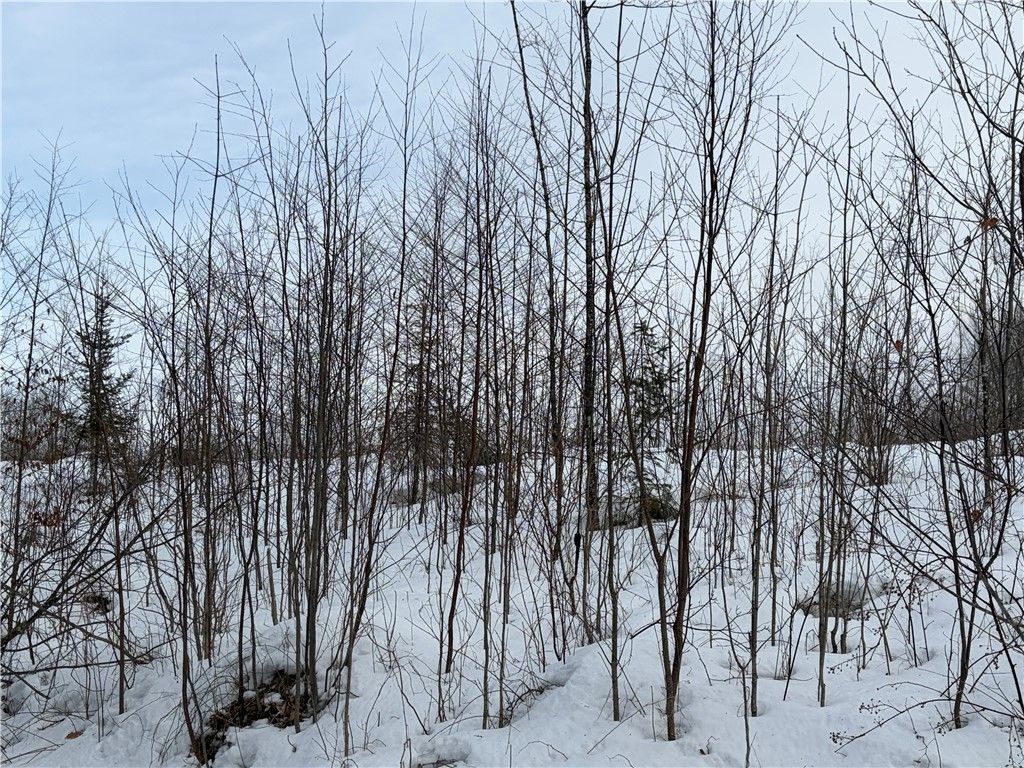 Photo of ON Forest Drive E, Ogema, WI 54459 (MLS # 1598876)