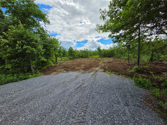 COUNTY RD E, ELK MOUND, WI 54739 - Image 1bcd5b649fa6eb1e314f87cd32b06ff6/535280215