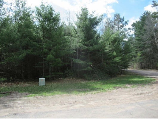 NORMANS LANDING RD, WEBSTER, WI 54893 - Image 1d0debfda4a2d7f4a4e5867f32d29196/2762763805