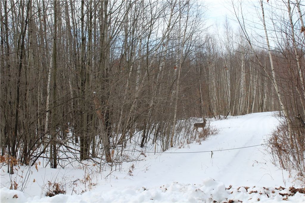 Photo of 000 Badger Avenue, Granton, WI 54436 (MLS # 1597787)