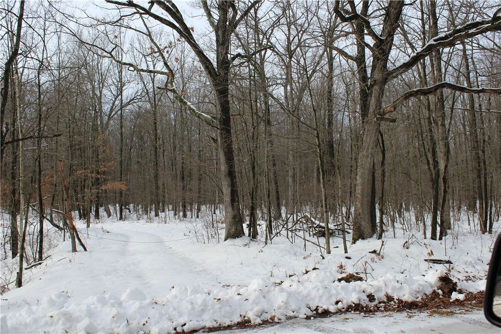 Photo of 000 Badger Avenue, Granton, WI 54436 (MLS # 1597787)